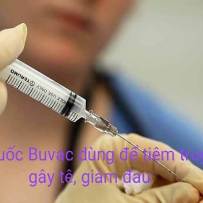 Thuốc Buvac: Thành Phần Tác Dụng Và Liều Dùng Của Thuốc