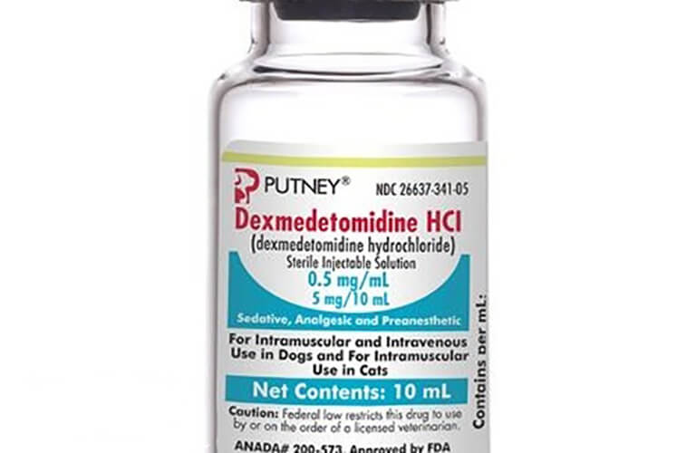 Thuốc Dexmedetomidine có tác dụng an thần dùng trong y khoa để hỗ trợ ổn định tinh thần cho bệnh nhân